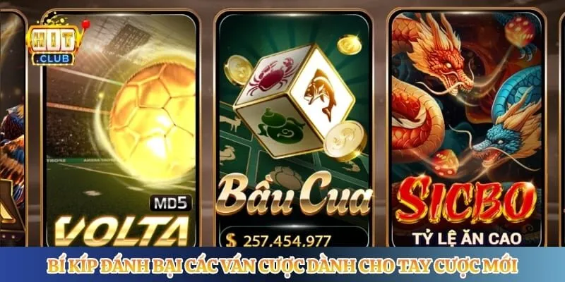 Bí kíp đánh bại các ván cược dành cho tay cược mới